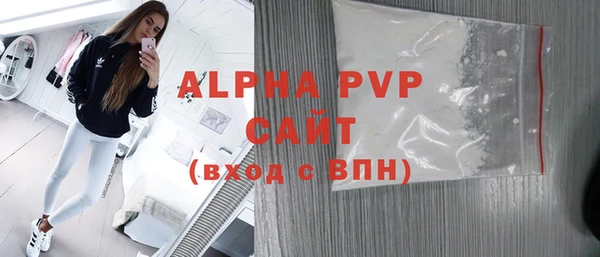 стаф Бородино