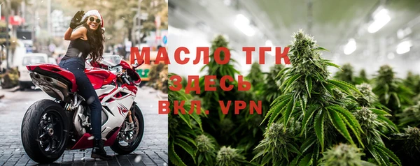 стаф Бородино