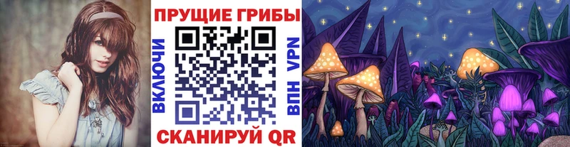 Галлюциногенные грибы MAGIC MUSHROOMS  Купить  Саров 